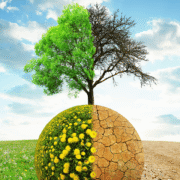 Climate and Sustainability Solutions